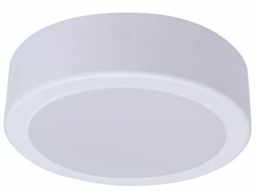 Downlight Dn065C G4 Led20/840 19W 220-240V